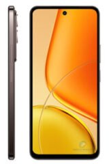 Vivo Y31 Pro camera features