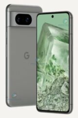 Daylight and night mode photo samples from the Google Pixel 8 main camera.